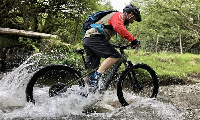 Coed y Brenin